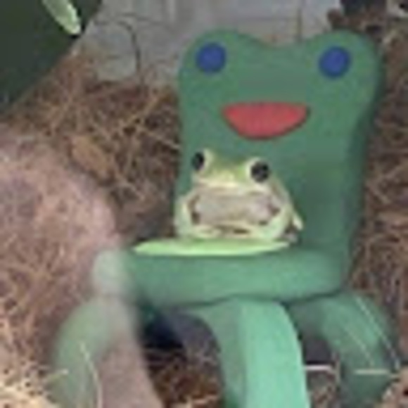 Meet your Posher, Oliver - Picture 1 of 1